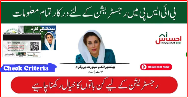 BISP Program 2025 Registration Check by CNIC