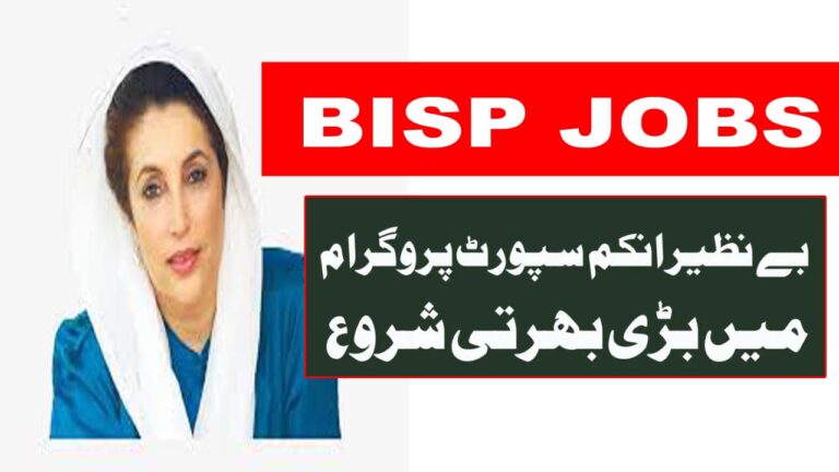 8171 Benazir Income Support Programme Jobs | Apply Online